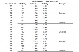 Tabela 4. Kalkulacja godzin i powierzchni cięcia jednej osoby.