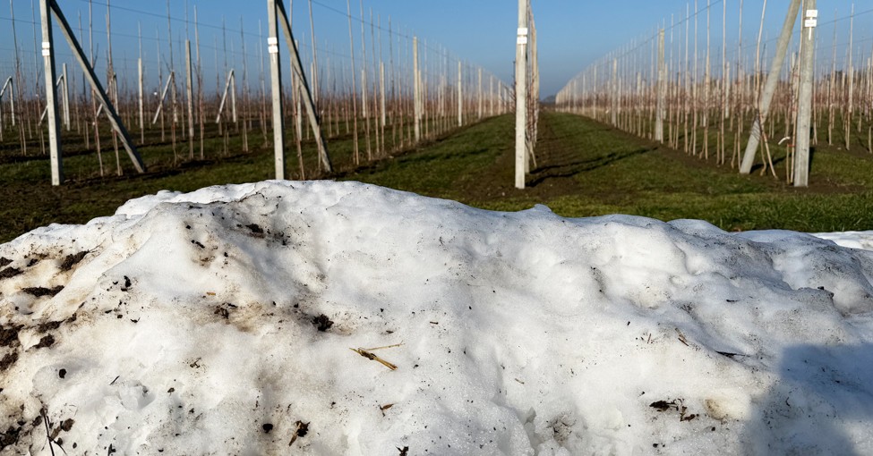 {Powody do paniki ? Raczej nie(teraz)