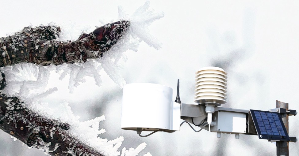 {Minimalne temperatury powietrza: 10.01.2026