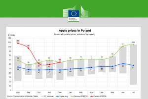  Ceny jabłek w Polsce - grudzień 2025