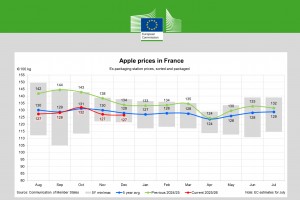  Ceny jabłek we Francji - grudzień 2025