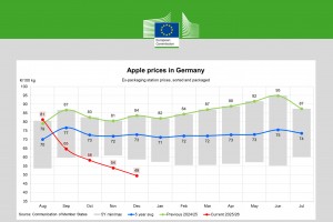  Ceny jabłek w Niemczech - grudzień 2025