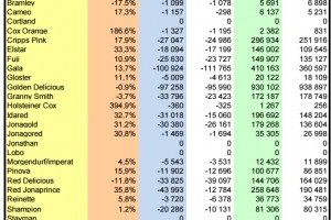 WAPA 1/2026: Zapasy jabłek - odmiany