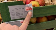 Flaga Kraju Pochodzenia Jabłek. Sprawdzamy supermarkety.
