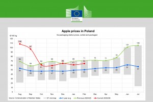 Ceny jabłek w Polsce - luty 2026