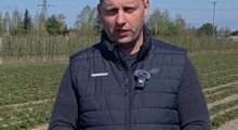 Komunikat jagodowy Agrosimex - 17.04.2026 
