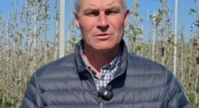 Komunikat sadowniczy Agrosimex - Ziarnkowe - 23.04