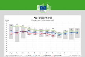 Ceny jabłek we Francji - marzec 2026