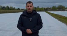 Komunikat jagodowy Agrosimex - 29.04.2026