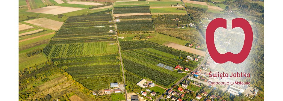 Postawili na jabłka i...wypromowali Mstów