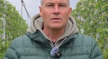 Komunikat sadowniczy Agrosimex - 13.05.2026 