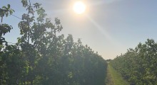 Ten tydzień przyniesie zr&oacute;żnicowaną pogodę