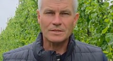 Komunikat sadowniczy Agrosimex - 20.05.2026