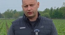 Komunikat jagodowy Agrosimex - 20.05.2026