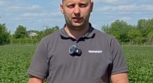 Komunikat jagodowy Agrosimex - 27.05.2026