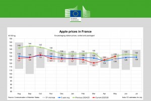 Ceny jabłek we Francji - maj 2026