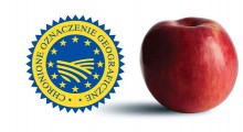 Jabłka Sandomierskie w drodze po unijny certyfikat !