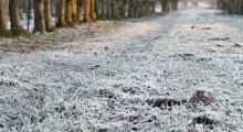 Temperatury mogą spaść nawet do -10 stopni C 