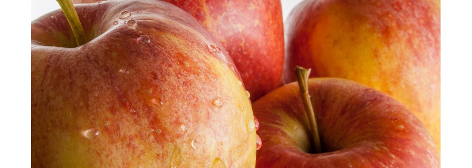 TRSK: Zbiory jabłek w 2015 roku
