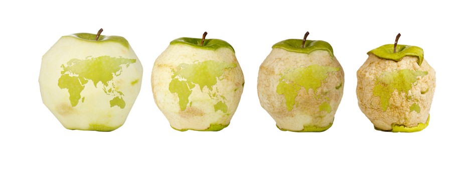 Eksport polskich jabłek na nowe rynki 