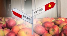 Eksport jabłek do Wietnamu jest już możliwy
