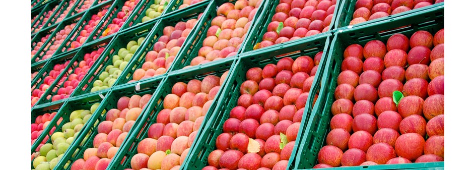 Ceny jabłek wzrosną w 2016 roku!? 