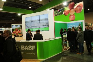 XII MTAS-FruitPRO 2016 - stoisko organizatora spotkania firmy BASF 