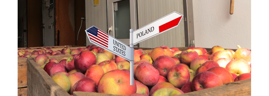 Eksport świeżych jabłek i gruszek do USA 