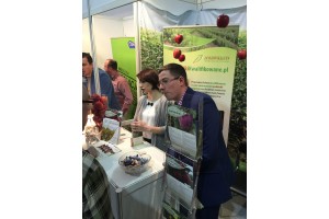 Jankowski i Syn - Szk&oacute;łka Drzewek i Krzew&oacute;w