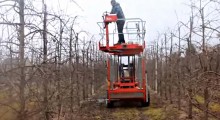 Cięcie drzew z platformy sadowniczej