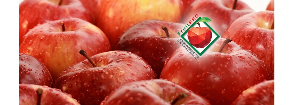 Jakiej jakości jabłek oczekują klienci krajów pozaeuropejskich? 