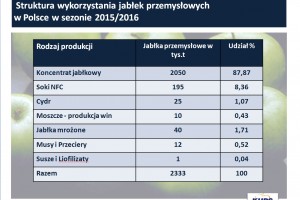 Struktura wykorzystania jabłek przemysłowych  w Polsce w sezonie 2015/2016