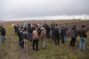 Pokaz maszyn pracujących w sadzie