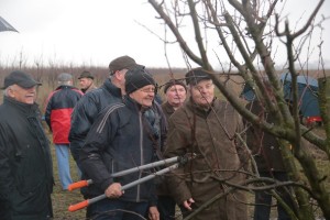 Pokaz cięcie drzew - inż. Leszek Zawodni 