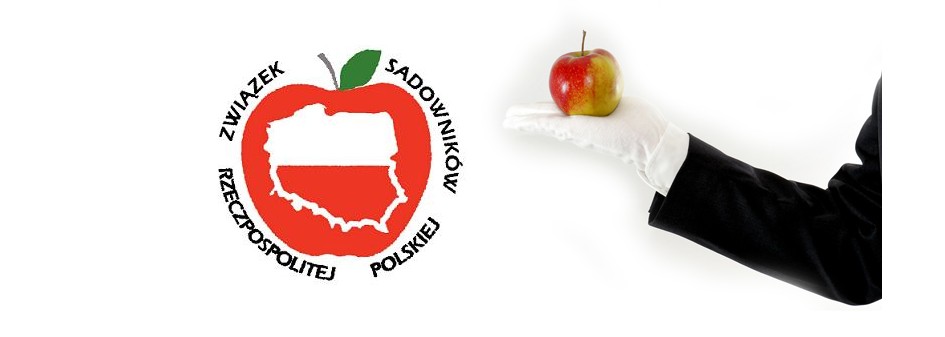 ZSRP planuje kampanie promujące polskie jabłka 