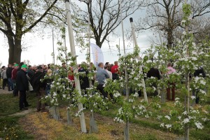 Prezentacja programów ochrony
 i nawożenia na kwaterach wdrożeniowych