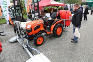 Wystawcy i odwiedzający ‘Majówkę z Luną’