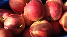 Jak zarobić na polskich jabłkach? 