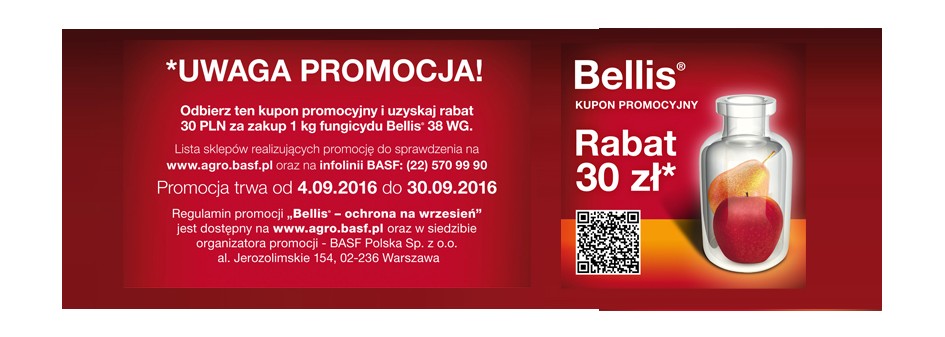 Bellis® 38 WG - ochrona na wrzesień