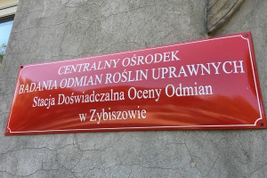COBORU Zybiszów - Dzień Otwartych Drzwi Sadu Doświadczalnego