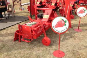 Glebogryzarka Wielorzędowa ALTRO do uprawy truskawek - AgroShow 2016