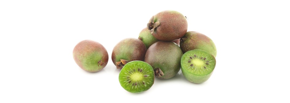 Polskie mini kiwi po 5-7 euro/kg