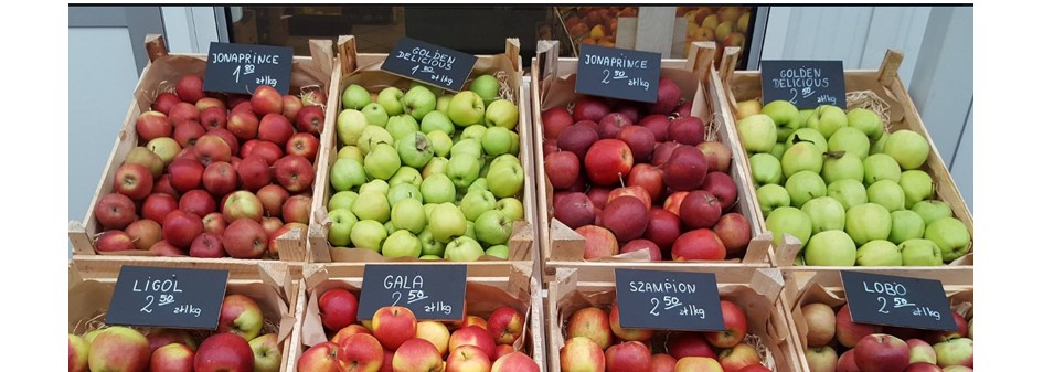 Ceny jabłek [42 tydzień 2016 roku]