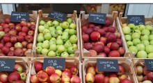 Ceny jabłek [42 tydzień 2016 roku]