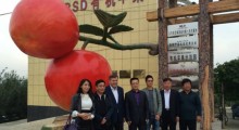 Na Dniu Jabłka w Chinach