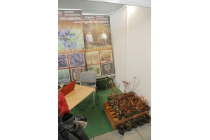 Szkółka Korfanty - krzewy jagodowe - HORTI-TECH Kielce 2016r.