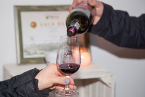 Święto Młodego Wina, organizowane przez Sandomierskie Stowarzyszenie Winiarzy