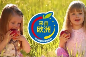 Jak marketing pomógł polskim jabłkom w Chinach?