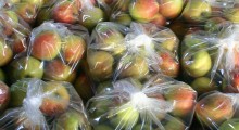 Gantner: o eksporcie jabłek
