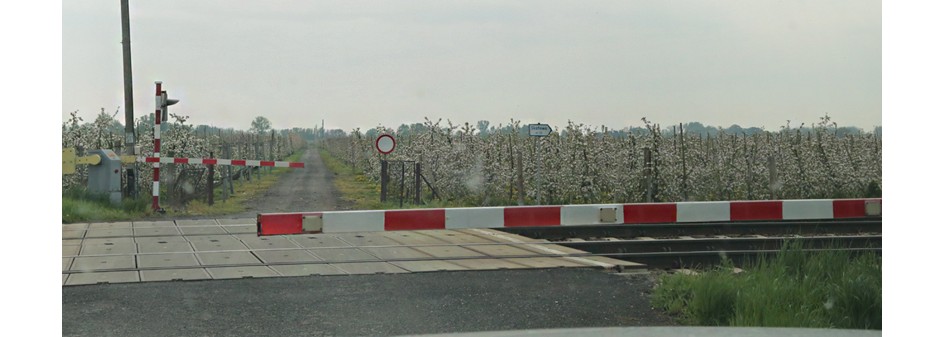 Polskie jabłka do Chin nie z Łodzi